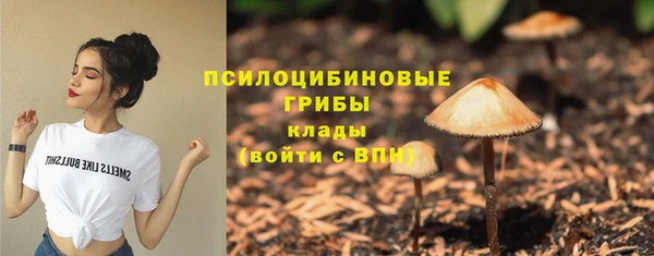 альфа пвп Новосибирск
