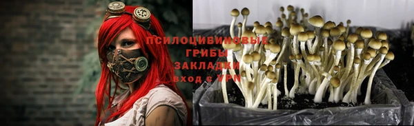 альфа пвп Новосибирск