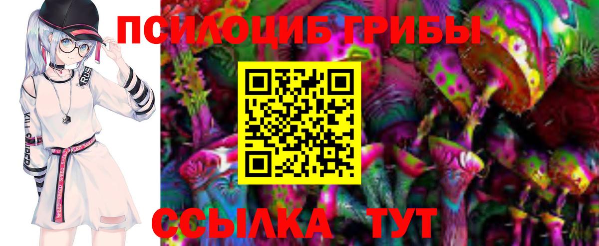 Волгодонск  Псилоцибиновые грибы мухоморы  Вход с VPN 