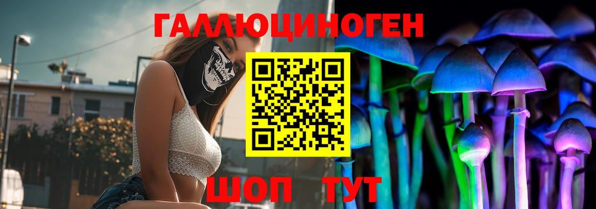 Галлюциногенные грибы Magic Shrooms  Волгодонск 