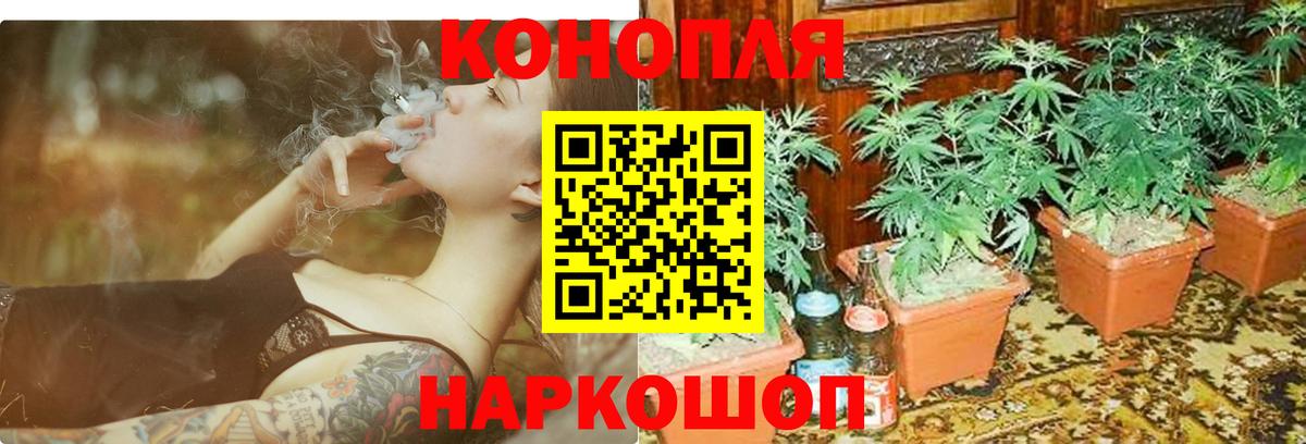 МАРИХУАНА план Волгодонск